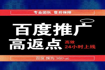 某企业通过百度SEM实现ROI最大化的案例